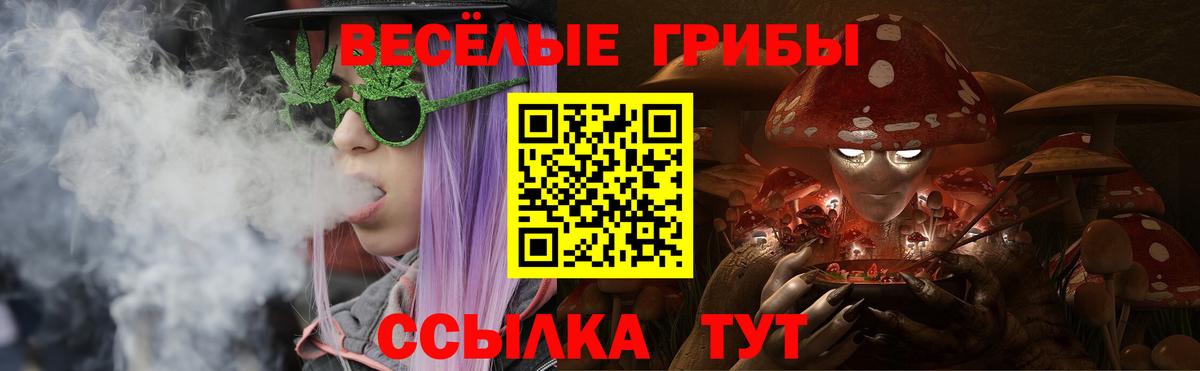 Галлюциногенные грибы Psilocybine cubensis Янаул